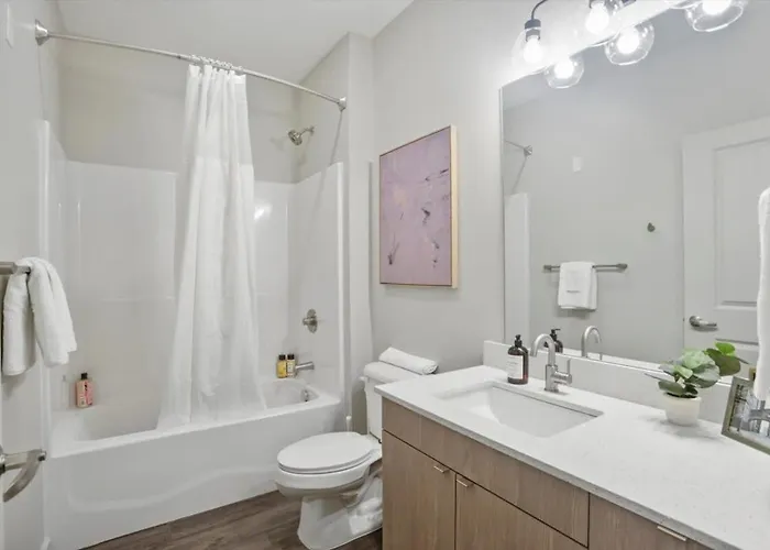 Cozysuites Roomy 1br, Lawrenceville Apartment Pittsburgh